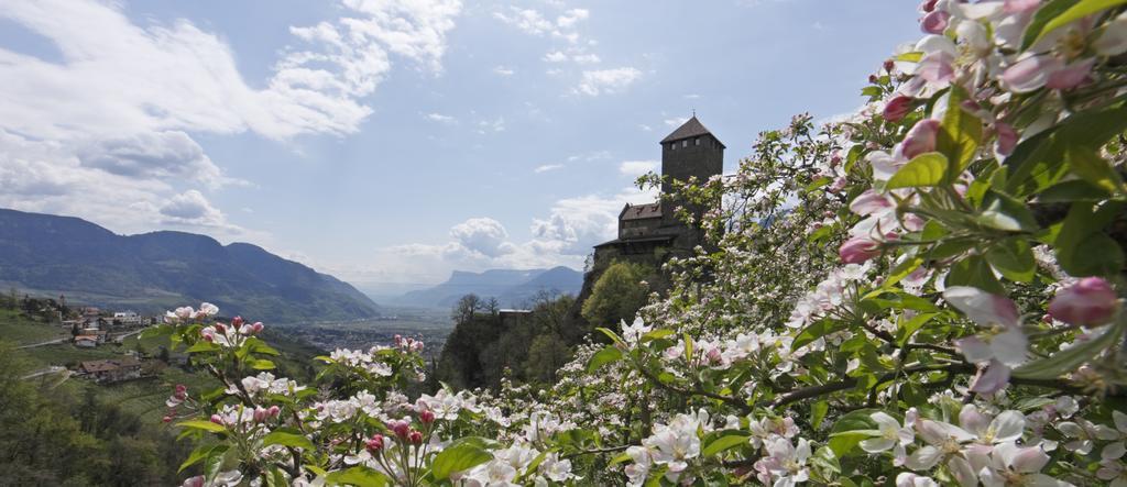 Zum Tiroler Adler Hotel